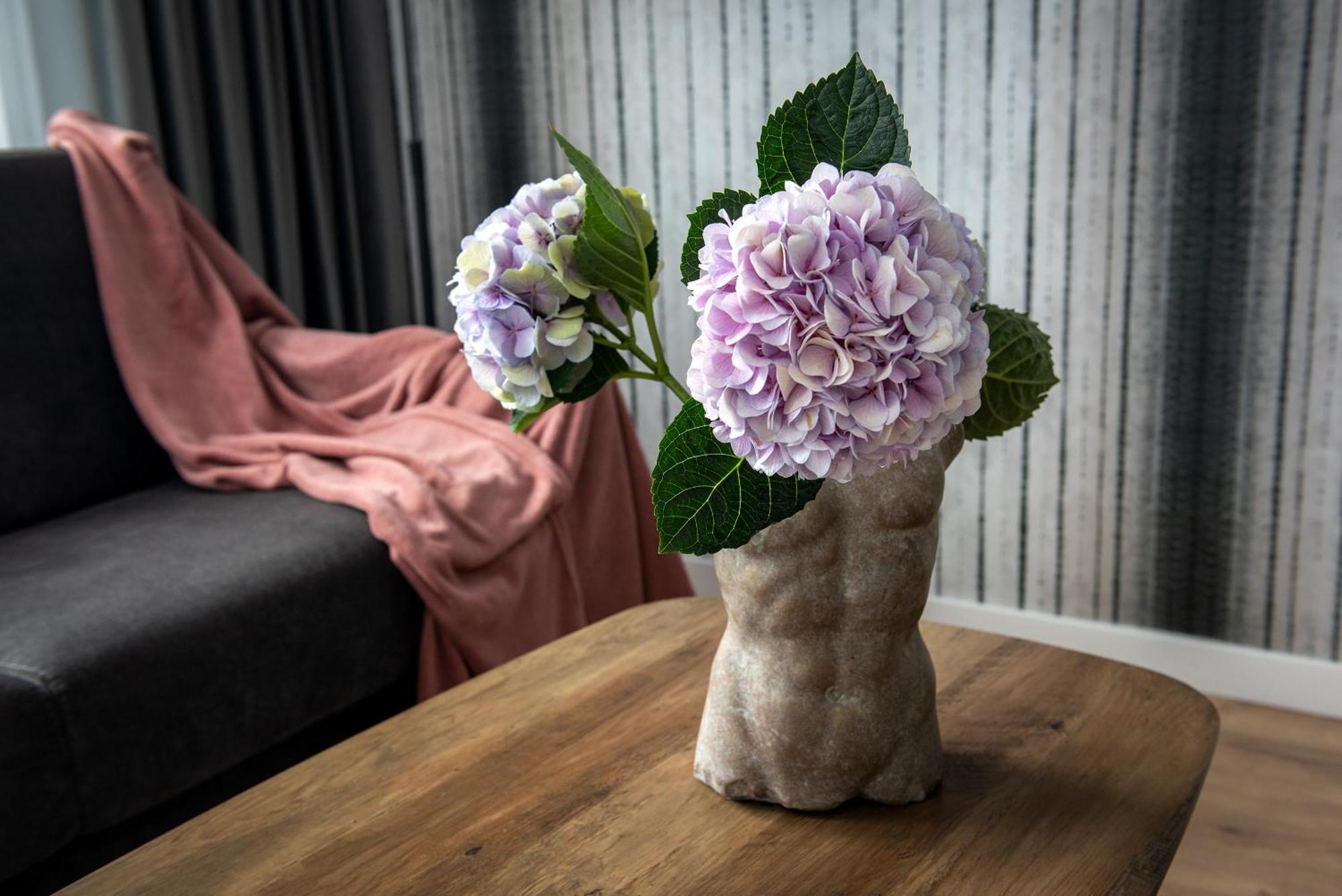 Inpoint Spacious Apartments Near Main Square & Kazimierz District Cracovie Chambre photo